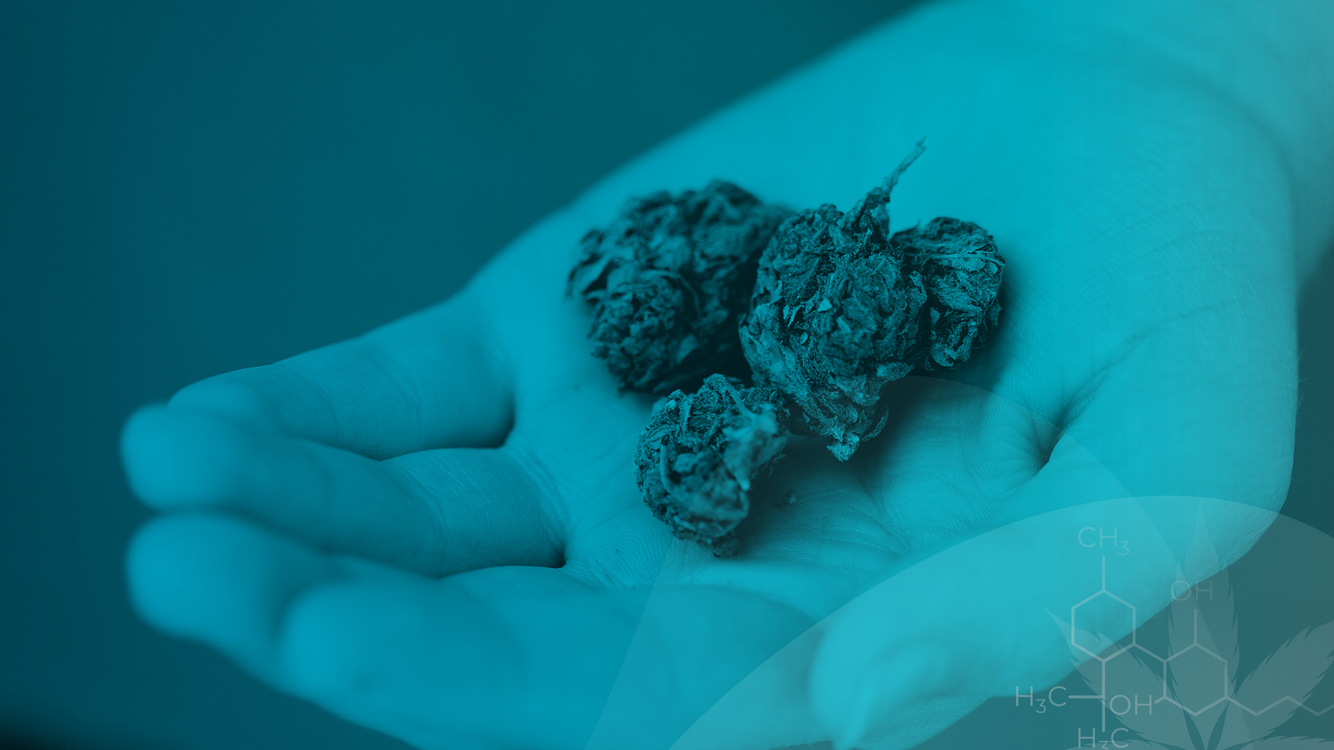 El derecho a alcanzar el nivel más alto de salud física y mental utilizando cannabis en grupos estigmatizados